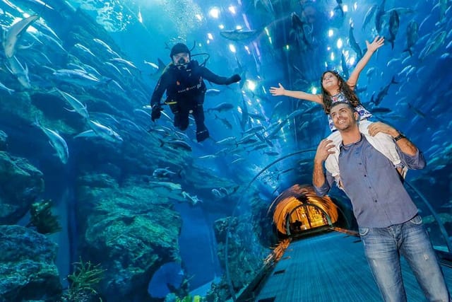 dubai-aquarium-underwater-zoo-basic_1